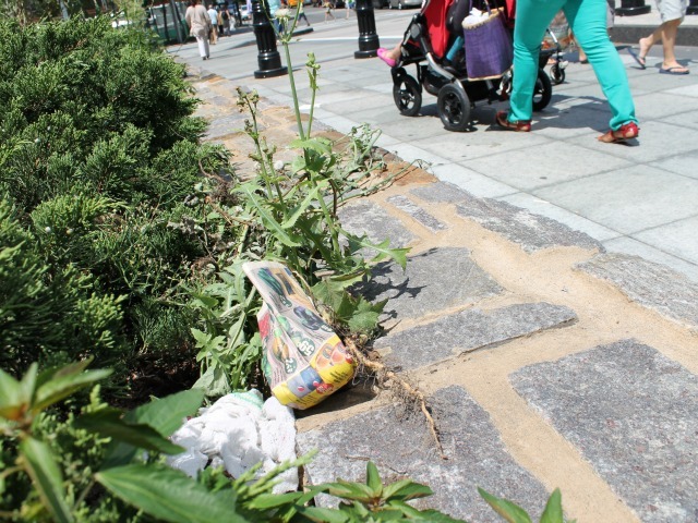 Garbage is building up in the middle of West Street, residents said. 