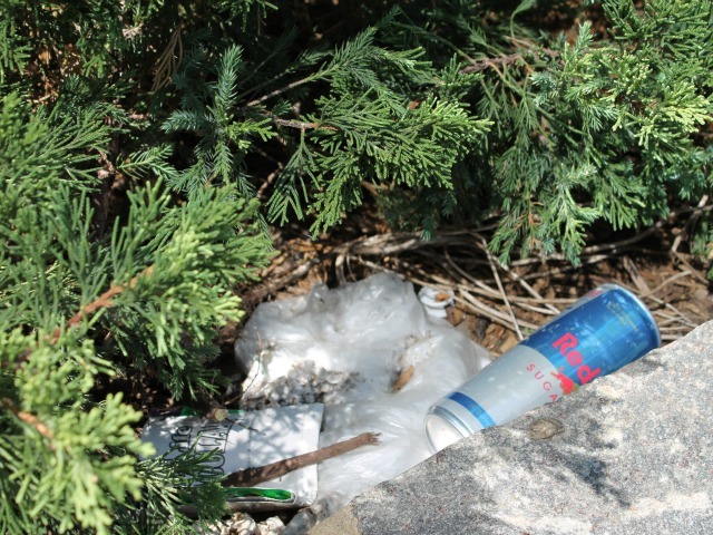 The landscaped medians along the West Side Highway are filling with garbage. 