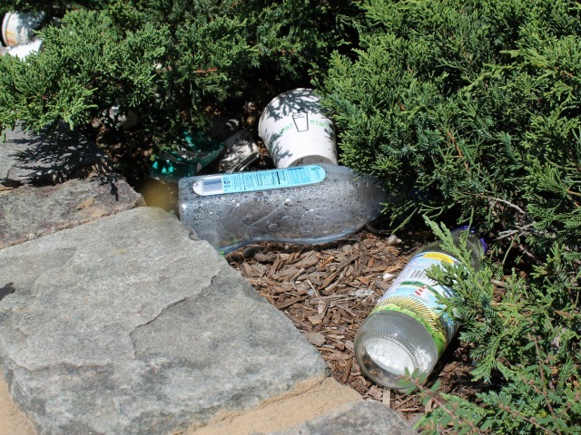 Litter in the West Street medians south of Chambers Street. 