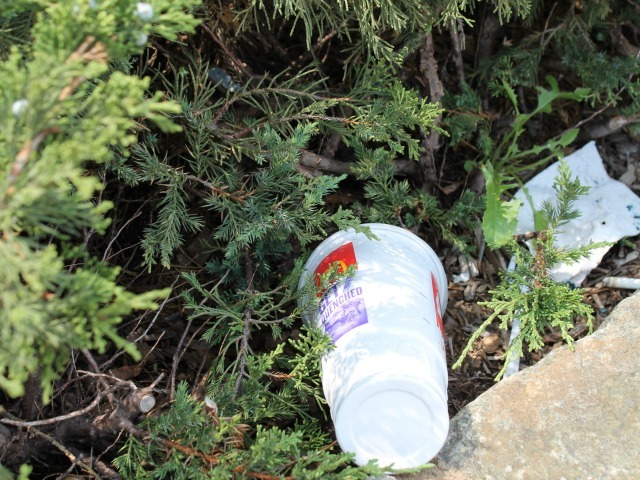Trash in the West Street medians hasn't been picked up recently, residents said. 