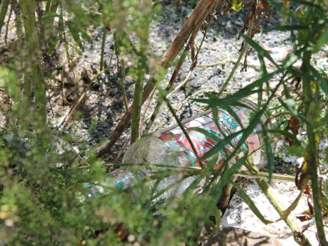 Bottles are strewn amid the weeds in the West Street medians. 
