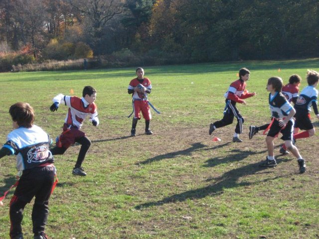 The South Brooklyn Baseball League also offers teams for flag football and co-ed baseball for younger children.