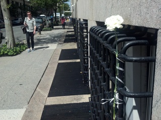 A white rose at West 114th Street and Amsterdam Avenue, where 18-year-old Columbia University freshman Martha Corey-Ochoa plunged to her death Monday August 27, 2012.