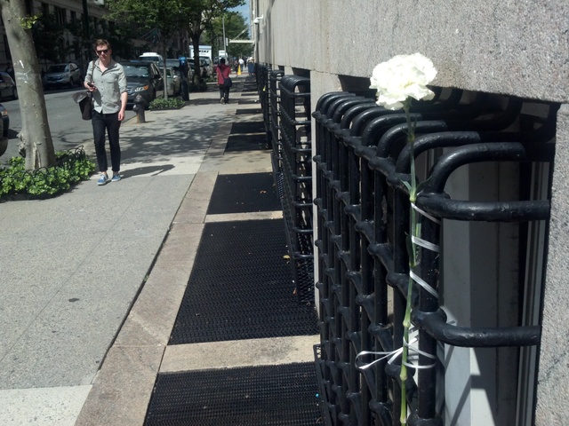 A white rose at West 114th Street and Amsterdam Avenue, where 18-year-old Columbia University freshman Martha Corey-Ochoa plunged to her death Monday August 27, 2012.