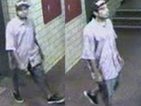 Police Seek Stabber in the South Bronx