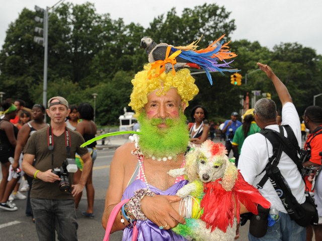 The Parrot and the dog with their Pirate master enjoy the parade on Eastern Parkway on Monday Sept. 3, 2012.