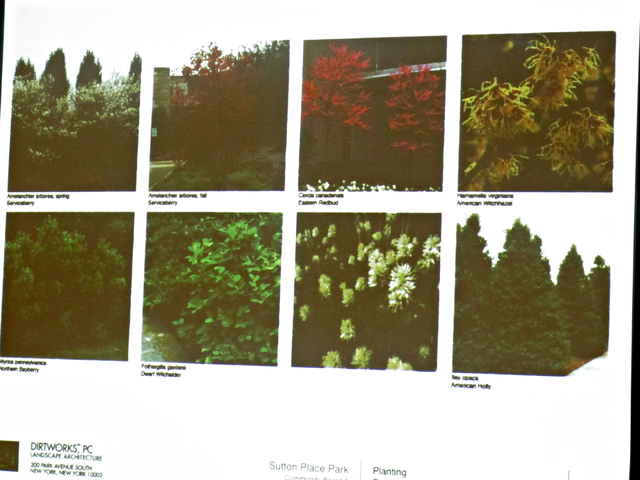 The designer for the 1 Sutton Place South project said he intends to include a variety of plant life in the new park space, to make it visually appealing all year round. 