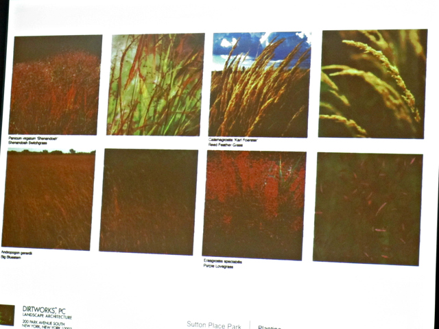 The designer also plans to incorporate a variety of different grasses in the new park at 1 Sutton Place South.
