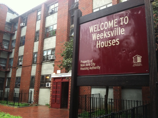 The Weeksville Houses building where animal rescuers removed 13 exotic animals from a fifth-floor apartment.