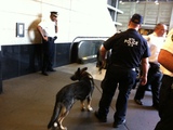 Two People Stabbed, One Injured in Jamaica Subway Station