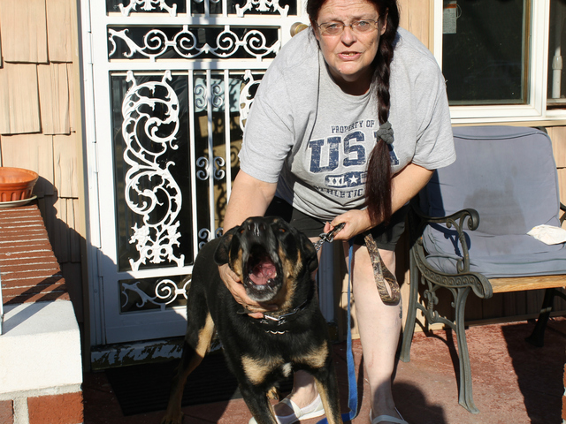 Ann Winters was fined by the city for her dog buddy's excessive barking after her neighbors complained.