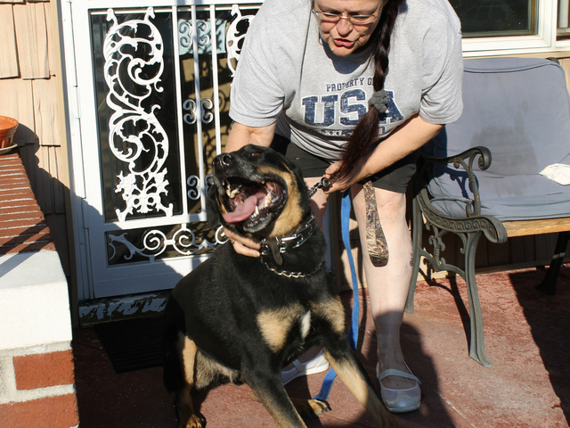 Ann Winters was fined by the city for her dog buddy's excessive barking after her neighbors complained.