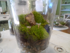 Valentine's Day Workshop at Twig Terrariums