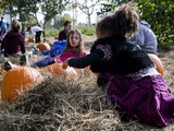 Red Hook Pumpkin Patch Brings Harvest Time to Kids