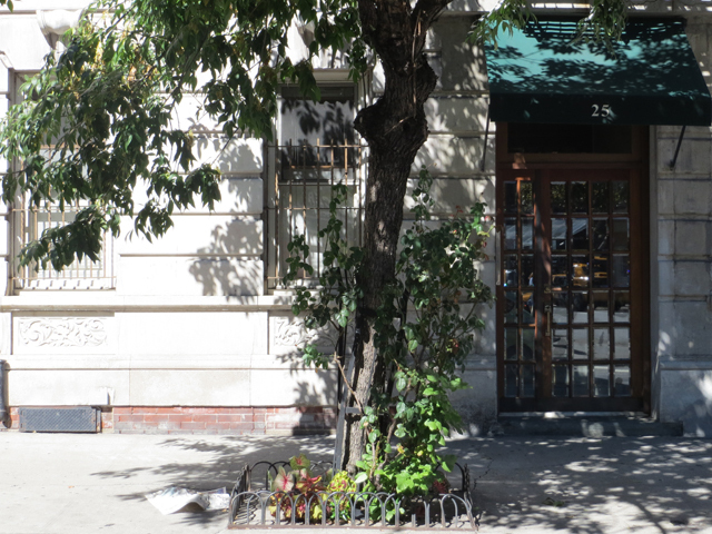 House hunters go to great heights for a pre-war walkup's view of the West Village