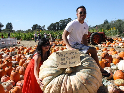 Jenn Chen and Daniel Chan on a trip to the Napa Valley. 