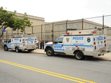 Deer Dies After Getting Stuck in Queens Schoolyard