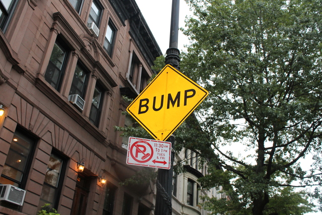 <p>A sign warning of a speed bump is often ignored, Hamilton Terrace residents say.</p>
