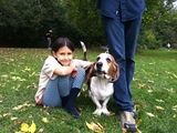 Brooklyn Basset Hounds Take Slope by Storm