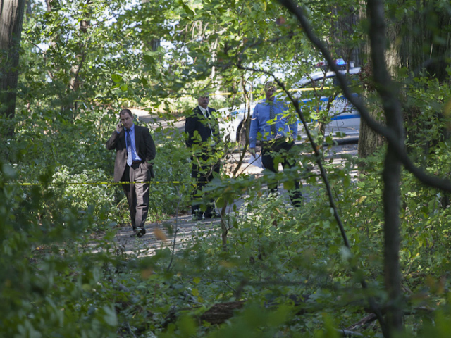 <p>Officials on the scene in Inwood Hill Park on Monday, Oct. 1, 2012, after the body of Seyed Ali Badakhshan was found.</p>
