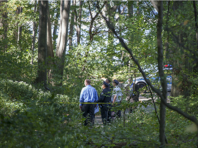 <p>Badakhshan's body was found not far from the area where Juilliard student Sarah Fox's body was found after her murder in 2004.</p>
