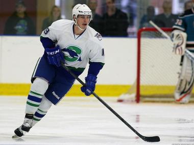DNAinfo.com New York scouted the region's minor-league and college teams to help fellow hockey fans keep from going cold turkey during the NHL lockout.