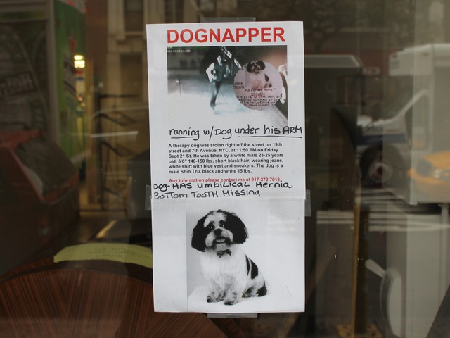 <p>Maria Vazquez covered Chelsea in posters searching for her dog, Skylar.</p>
