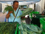 Bronx Farm Share Offers Fresh Produce With Payment Flexibility