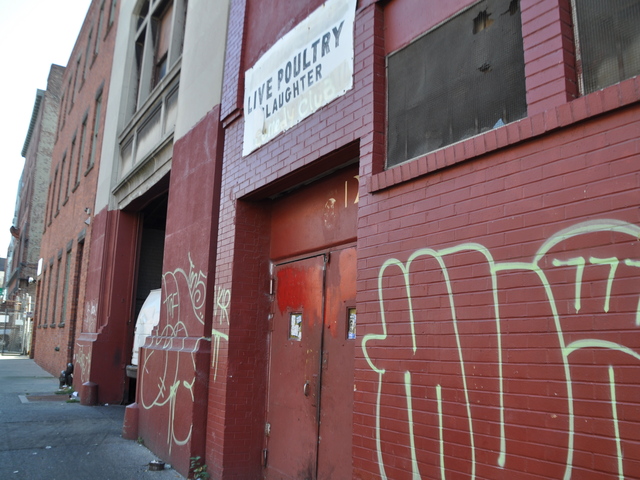 <p>The graffiti on the slaughterhouse on Greenpoint Avenue has gone unnoticed to some residents.</p>
