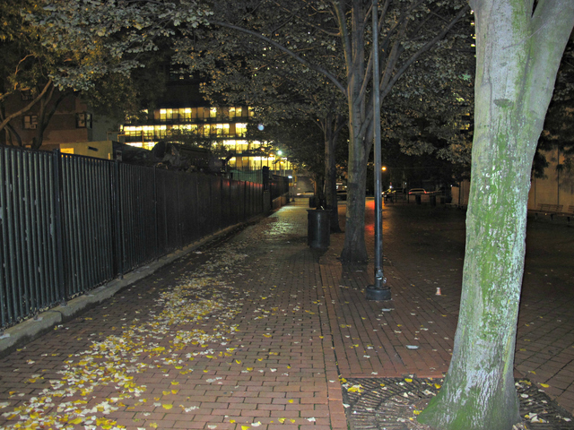 <p>Members of Community Board 6 expressed concern that some of the lush trees that currently hang over the parking lot would be removed as part of the micro-unit building's construction.</p>
