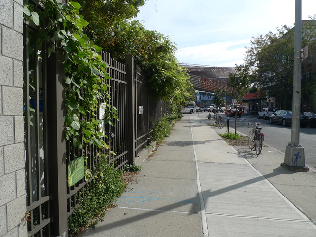 <p>Locals say Barclays Center patrons use Pacific Street as a public urinal.</p>
