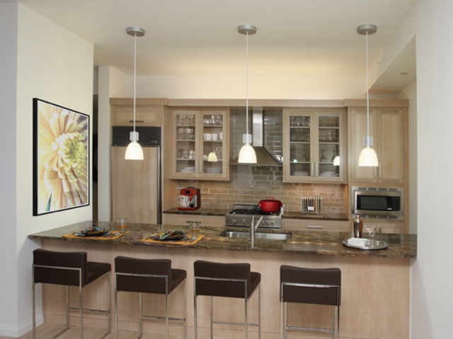 <p>This luxury one-bedroom from Manhattan Skyline Management at 55 Thompson St. is listed for $9,995 a month.&nbsp;</p>
