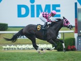 Horse Named 'A Rod' Scratched from Race as Yankees Star Struggles