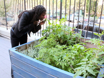 <p>School principal Darlene Despeignes,&nbsp; is working on developing a student-run garden at the S.T.A.R Academy on East Fourth Street.</p>
