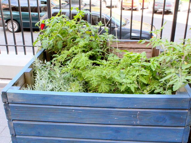 <p>School principal Darlene Despeignes, is working on developing a student-run garden at the S.T.A.R Academy on East Fourth Street.</p>
