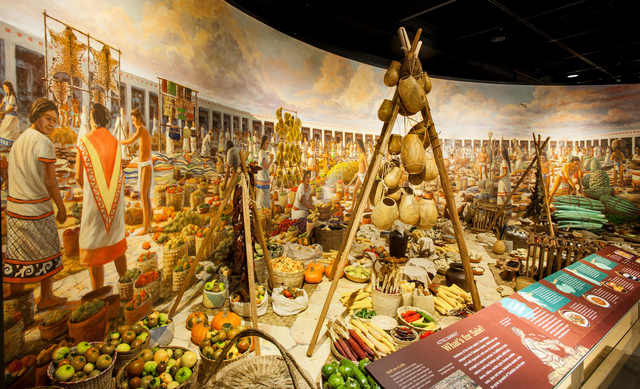 <p>This re-creation represents a small corner of a giant marketplace that served the capital city of the thriving Aztec Empire in what is now Mexico.</p>
