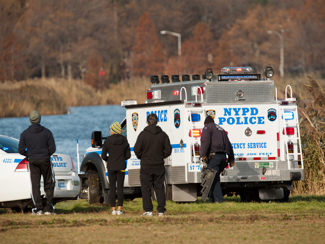 <p>Passersby watch as cops prepare to pull the pickup Meadow Lake in Forest Hills Monday morning, Nov. 19, 2012.</p>
