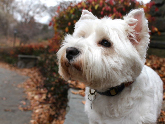 <p>Carlie is usually a charmer, according to Pace.&nbsp;</p>
