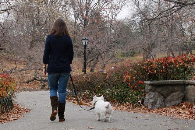 <p>Pace takes Carlie on long walks each day, but Carlie loves her time off the leash, in the early morning, the best.&nbsp;</p>
