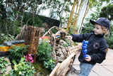 'Holiday Train Show' Chugs to Life at the New York Botanical Garden