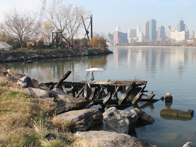 <p>Socrates Sculpture Park lost many trees and its shoreline was eroded.</p>
