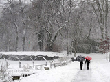 Great Winter Walks in New York City