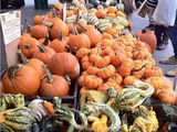 Year-Round Farmers Markets Keep New Yorkers Eating Local 