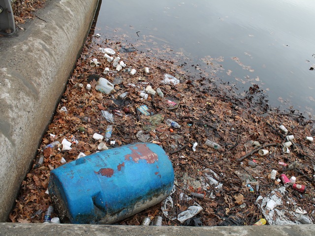 <p>Bottles and cans often clog the surface of the fountain.</p>

