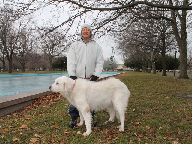 <p>Poovanart Pholpituke, who comes to the park from Woodside to walk his dog, Bella, said he would like to see the fountain working again.</p>
