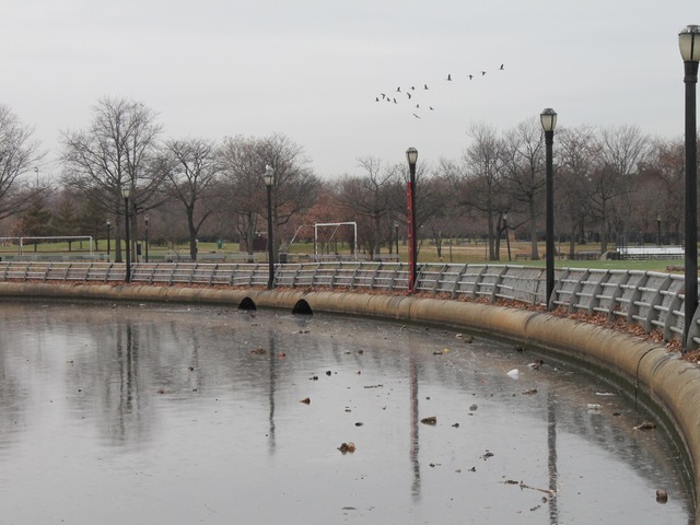 <p>Bottles and cans often clog the surface of the fountain.</p>

