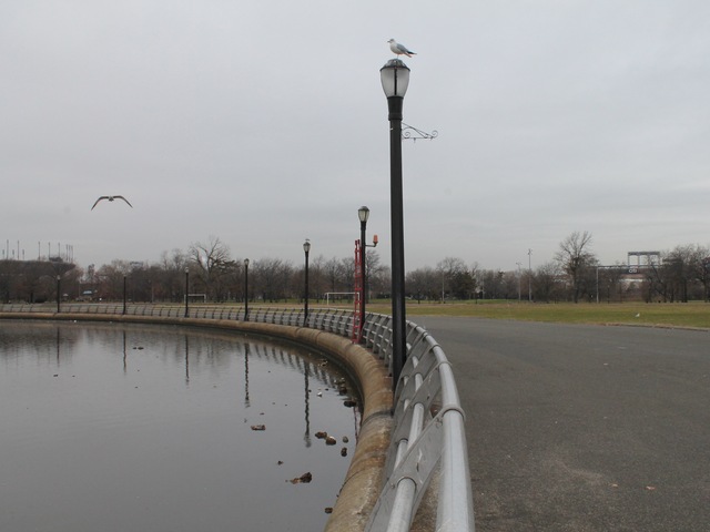 <p>Bottles and cans often clog the surface of the fountain.</p>
