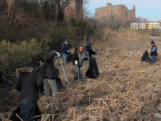 <p>Volunteers pick up trash along the Sherman Creek shorline on Dec. 12, 2012.</p>
