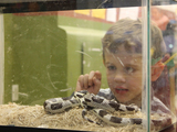 Storefront Science Workshops Let Children Learn Through Exploration
