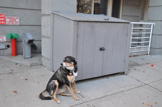 <p>A development on Conselyea Street has trash receptacles that are technically illegal since the developer never provided space for trash, residents claim.</p>
